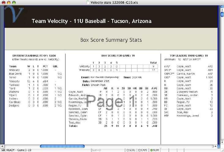 team summary